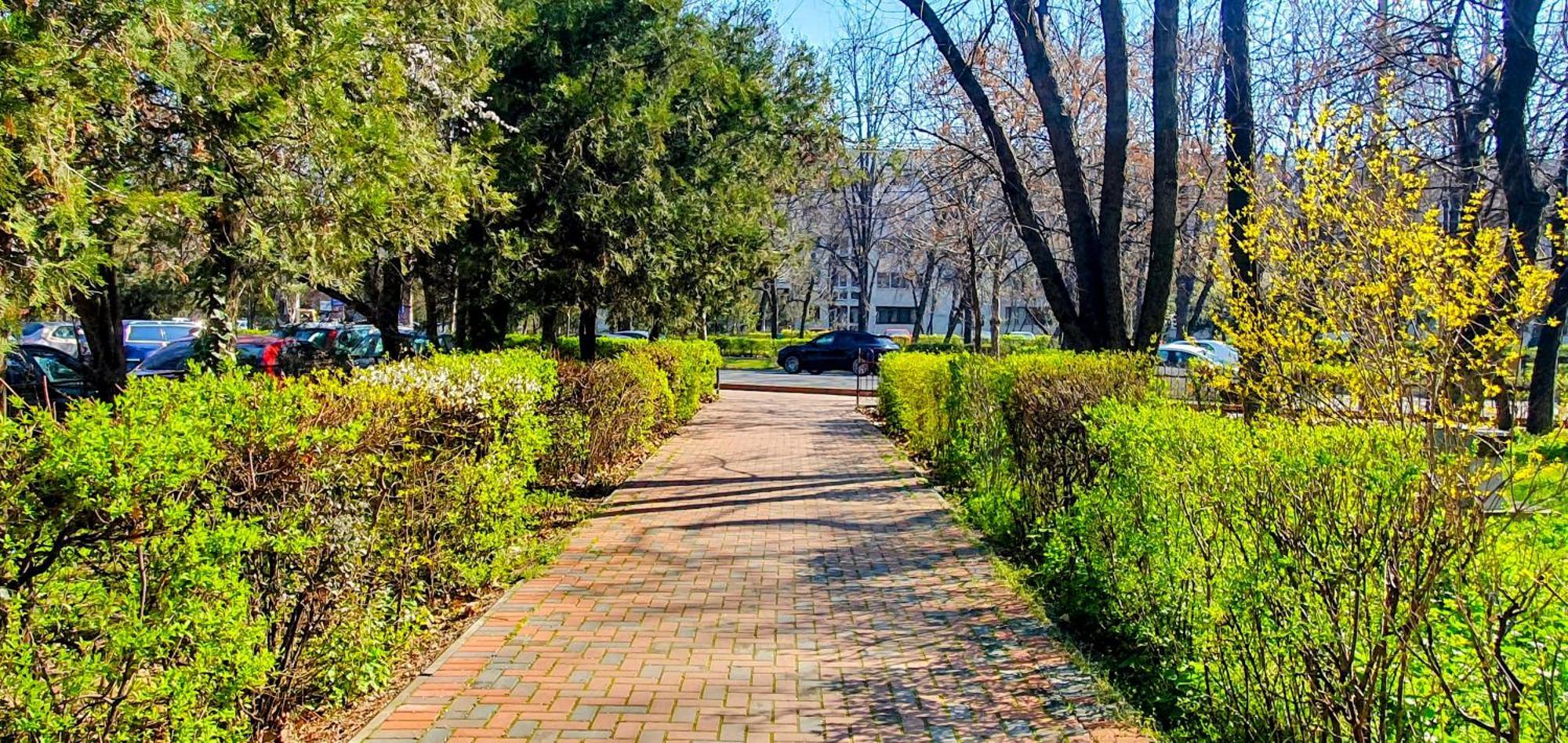 City Break Park Studio Bucarest Exterior foto